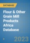 Flour & Other Grain Mill Products Africa Database - Product Image