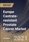 Europe Castrate-resistant Prostate Cancer Market By Therapy (Hormonal Therapy, Immunotherapy, Chemotherapy and Radiotherapy), By Country, Industry Analysis and Forecast, 2020 - 2026 - Product Thumbnail Image