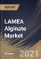 LAMEA Alginate Market By Type, By Product, By Application, By Country, Industry Analysis and Forecast, 2020 - 2026 - Product Thumbnail Image