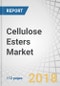 Cellulose Esters Market by Type (Cellulose Acetate, Cellulose Acetate Butyrate, Cellulose Acetate Propionate, Cellulose Nitrate), by Application (Coatings, Plasticizers, Cigarette Filters, Films & tapes, Inks), and Region - Global Forecast to 2023 - Product Thumbnail Image