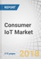 Consumer IoT Market by Offerings (Node Components, Network Infrastructure, Solutions, snd Services), End-Use Application (Wearable Devices, Consumer Electronics, Healthcare, Home Automation, Automotive), and Geography - Global Forecast to 2023 - Product Thumbnail Image