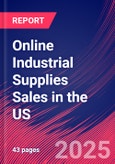 Online Industrial Supplies Sales in the US - Industry Market Research Report- Product Image