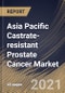 Asia Pacific Castrate-resistant Prostate Cancer Market By Therapy (Hormonal Therapy, Immunotherapy, Chemotherapy and Radiotherapy), By Country, Industry Analysis and Forecast, 2020 - 2026 - Product Thumbnail Image