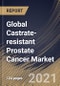 Global Castrate-resistant Prostate Cancer Market By Therapy (Hormonal Therapy, Immunotherapy, Chemotherapy and Radiotherapy), By Region, Industry Analysis and Forecast, 2020 - 2026 - Product Thumbnail Image