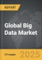 Big Data - Global Strategic Business Report - Product Thumbnail Image