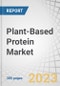 Plant-Based Protein Market by Source (Soy, Wheat, Pea, Canola Rice & Potato, Beans & Seeds, Fermented Protein), Type (Concentrates, Isolates, Textured), Form (Dry, Liquid), Nature (Conventional, Organic), Application and Region - Global Forecast to 2028 - Product Thumbnail Image