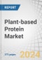 Plant-Based Protein Market by Source (Soy, Wheat, Pea, Canola Rice & Potato, Beans & Seeds, Fermented Protein), Type (Concentrates, Isolates, Textured), Form (Dry, Liquid), Nature (Conventional, Organic), Application and Region - Global Forecast to 2028 - Product Thumbnail Image