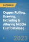 Copper Rolling, Drawing, Extruding & Alloying Middle East Database - Product Image