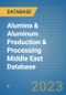 Alumina & Aluminum Production & Processing Middle East Database - Product Thumbnail Image