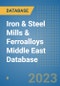Iron & Steel Mills & Ferroalloys Middle East Database - Product Thumbnail Image