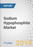 Sodium Hypophosphite Market by Function (Reducing Agents, Catalysts & Stabilizers, Chemical Intermediates), Application (Electroplating, Water Treatment, Chemicals & Pharmaceuticals), Grade (Electrical, Industrial), and Region - Global Forecast to 2025- Product Image