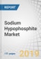 Sodium Hypophosphite Market by Function (Reducing Agents, Catalysts & Stabilizers, Chemical Intermediates), Application (Electroplating, Water Treatment, Chemicals & Pharmaceuticals), Grade (Electrical, Industrial), and Region - Global Forecast to 2025 - Product Thumbnail Image