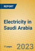 Electricity in Saudi Arabia- Product Image