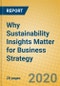 Why Sustainability Insights Matter for Business Strategy - Product Thumbnail Image
