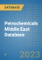 Petrochemicals Middle East Database - Product Image