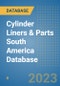 Cylinder Liners & Parts (C.V. OE & Aftermarket) South America Database - Product Thumbnail Image