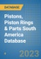 Pistons, Piston Rings & Parts (C.V. OE & Aftermarket) South America Database - Product Thumbnail Image