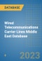 Wired Telecommunications Carrier Lines Middle East Database - Product Image