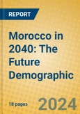 Morocco in 2040: The Future Demographic- Product Image