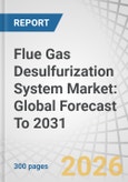 Flue Gas Desulfurization System Market: Global Forecast To 2031- Product Image