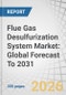 Flue Gas Desulfurization System Market: Global Forecast To 2031 - Product Thumbnail Image