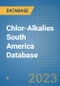 Chlor-Alkalies South America Database - Product Thumbnail Image