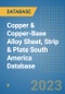 Copper & Copper-Base Alloy Sheet, Strip & Plate South America Database - Product Image