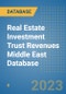 Real Estate Investment Trust Revenues Middle East Database - Product Image