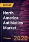 North America Antibiotics Market Forecast to 2027 - COVID-19 Impact and Regional Analysis By Drug Class; Action Mechanism; and Country - Product Thumbnail Image