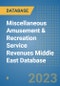 Miscellaneous Amusement & Recreation Service Revenues Middle East Database - Product Thumbnail Image