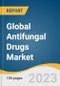 Global Antifungal Drugs Market Size, Share & Trends Analysis Report by Drug Class (Azoles, Polyenes), Indication (Dermatophytosis, Aspergillosis), Dosage Form, Distribution Channel, Region, and Segment Forecasts, 2024-2030 - Product Thumbnail Image