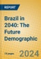 Brazil in 2040: The Future Demographic - Product Image