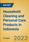 Household Cleaning and Personal Care Products in Indonesia: ISIC 2424 - Product Image