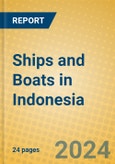 Ships and Boats in Indonesia: ISIC 351- Product Image