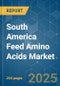South America Feed Amino Acids - Market Share Analysis, Industry Trends & Statistics, Growth Forecasts (2025 - 2030) - Product Thumbnail Image