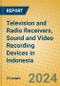 Television and Radio Receivers, Sound and Video Recording Devices in Indonesia: ISIC 323 - Product Thumbnail Image