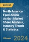 North America Feed Amino Acids - Market Share Analysis, Industry Trends & Statistics, Growth Forecasts 2017 - 2029 - Product Thumbnail Image