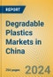Degradable Plastics Markets in China - Product Thumbnail Image