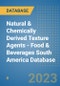 Natural & Chemically Derived Texture Agents - Food & Beverages South America Database - Product Thumbnail Image