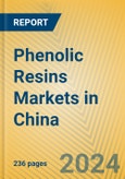 Phenolic Resins Markets in China- Product Image