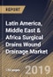 Latin America, Middle East & Africa Surgical Drains Wound Drainage Market (2018 - 2024) - Product Thumbnail Image