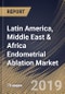 Latin America, Middle East & Africa Endometrial Ablation Market (2018 - 2024) - Product Thumbnail Image