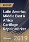 Latin America, Middle East & Africa Cartilage Repair Market (2018 - 2024) - Product Thumbnail Image