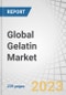 Global Gelatin Market by Source (Plants, Animals), Application (Food & Beverages, Pharmaceuticals, Health & Nutrition, Cosmetics & Personal Care), Type (Type A, Type B), Function (Thickener, Stabilizer, Gelling Agent) and Region - Forecast to 2028 - Product Image