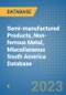 Semi-manufactured Products, Non-ferrous Metal, Miscellaneous South America Database - Product Thumbnail Image