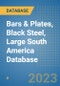 Bars & Plates, Black Steel, Large South America Database - Product Thumbnail Image