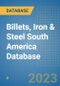 Billets, Iron & Steel South America Database - Product Thumbnail Image