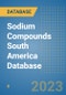 Sodium Compounds South America Database - Product Thumbnail Image