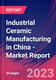 Industrial Ceramic Manufacturing in China - Industry Market Research Report- Product Image
