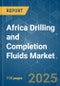 Africa Drilling and Completion Fluids Market - Growth, Trends and Forecasts (2023-2028) - Product Thumbnail Image